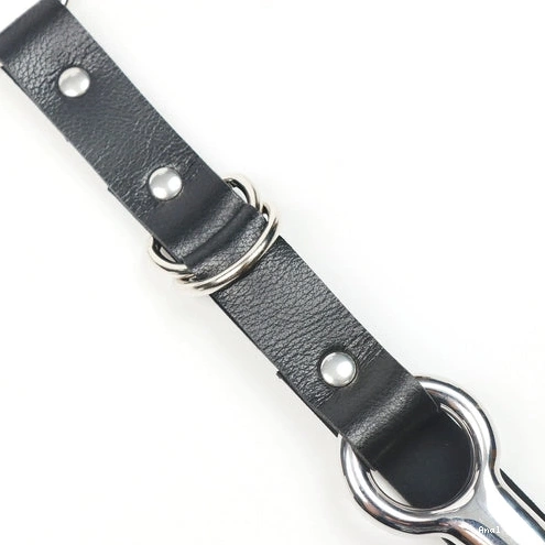 Anal Hooks and Anal Kinky EverydayUse Collar 5853 with Hook Leash 0204